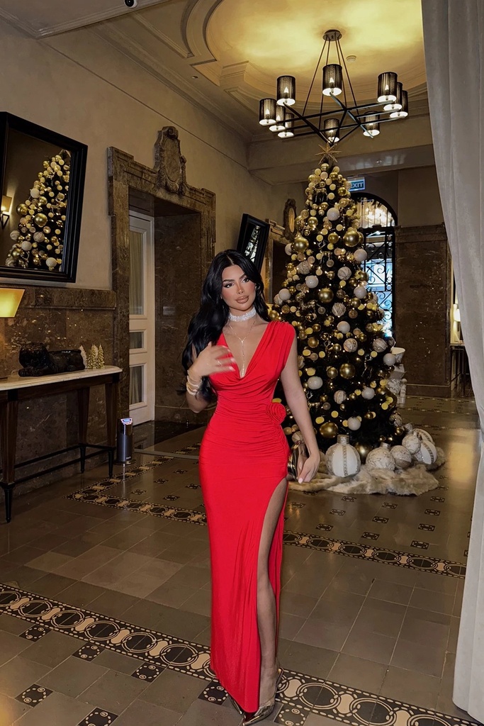 Red Rose Detail Dress