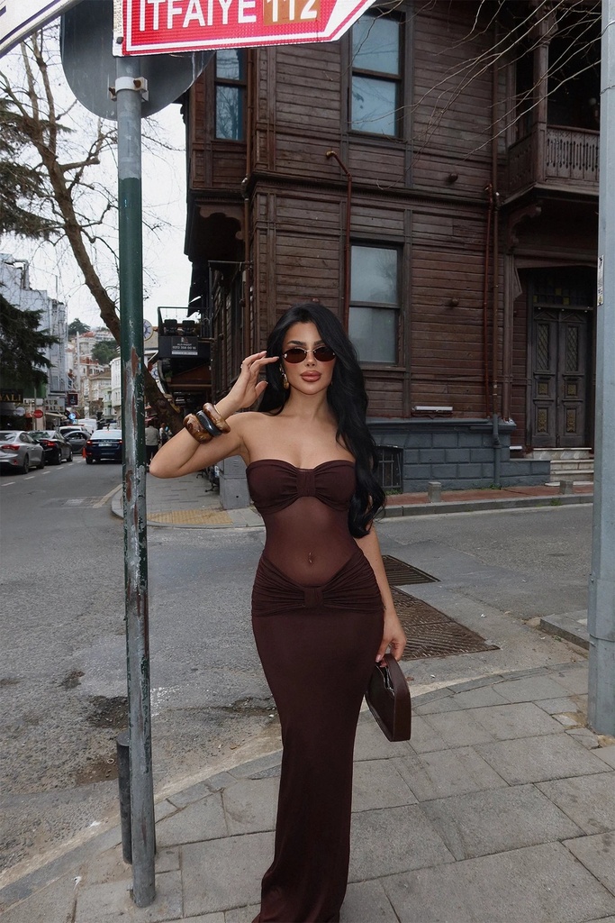 Brown Armen Tulle Detail Dress