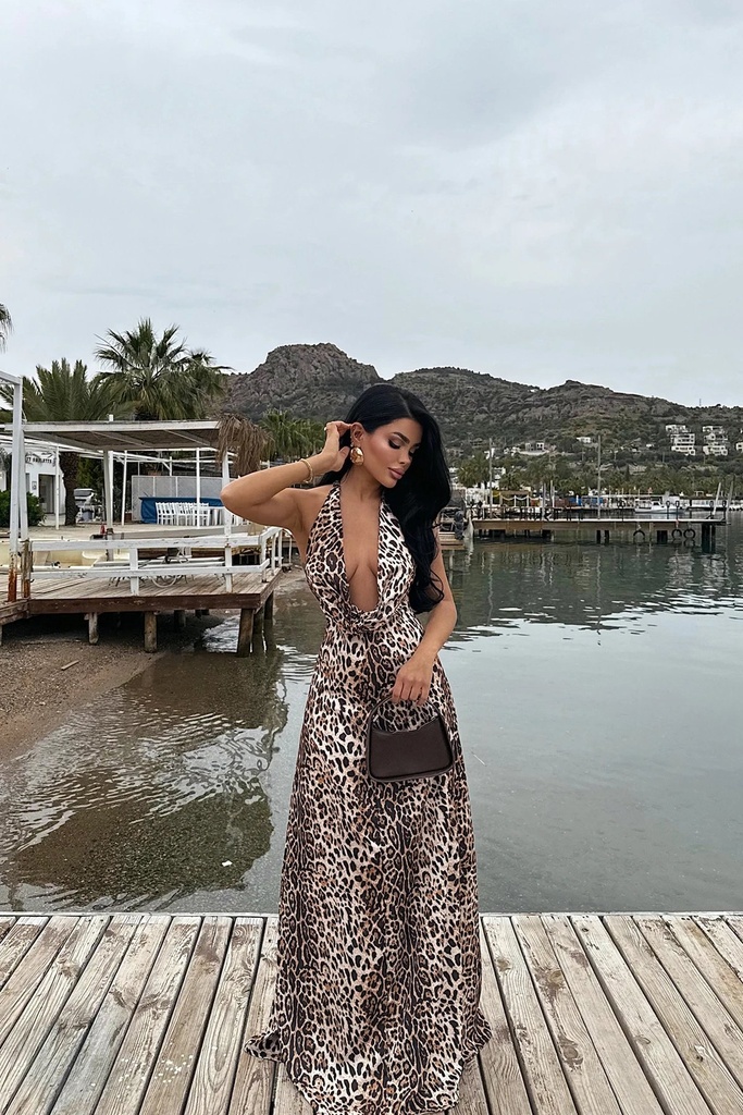 Dulcie Long Leopard Dress