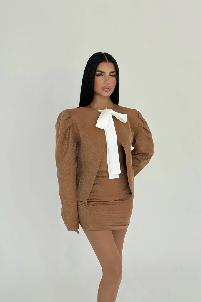 Brown Skirt Suit