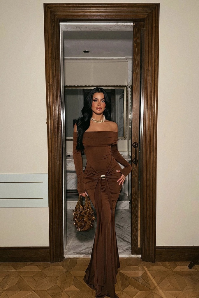 Brown Long Sleeve Dress