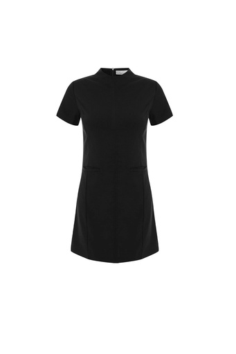 Black Tiya Mini Dress