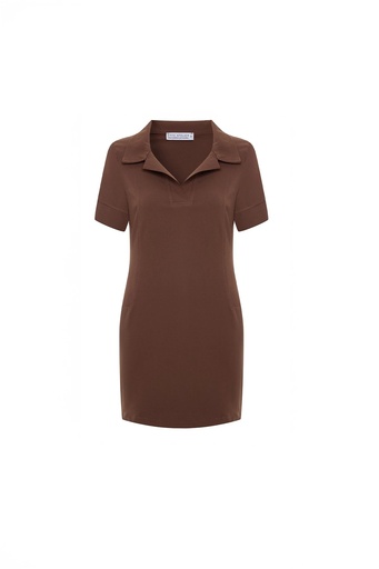 Brown Shirt Collar Dress