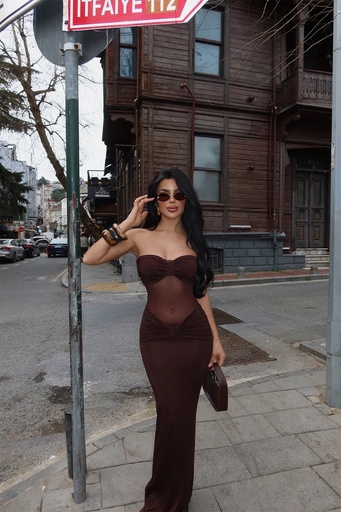 Brown Armen Tulle Detail Dress