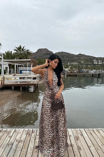 Dulcie Long Leopard Dress