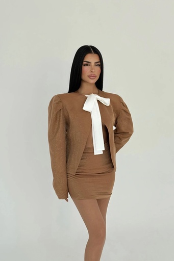 Brown Skirt Suit