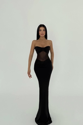 Black Transparent Long Dress