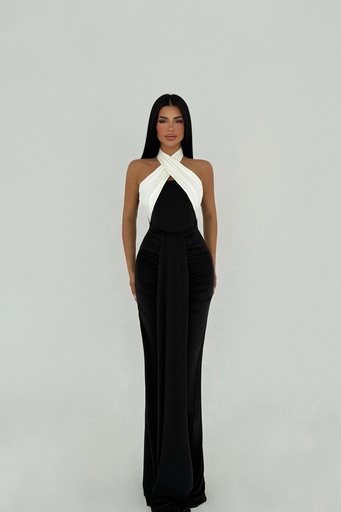 Double Aralia Two-Tone Dress