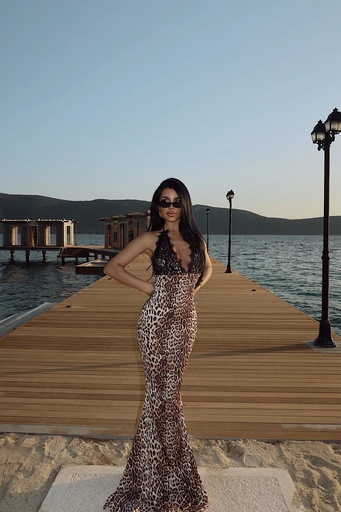 Leopard Pattern Long Dress