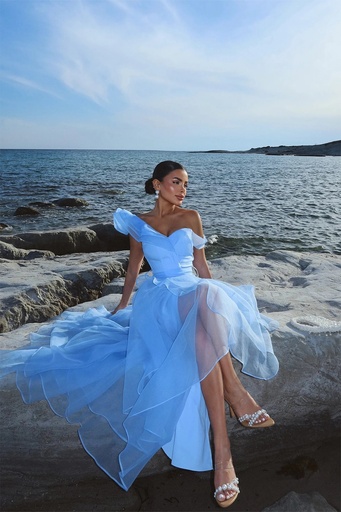 Blue Tulle Detail Long Evening Dress
