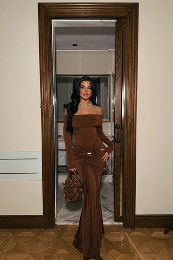 Brown Long Sleeve Dress